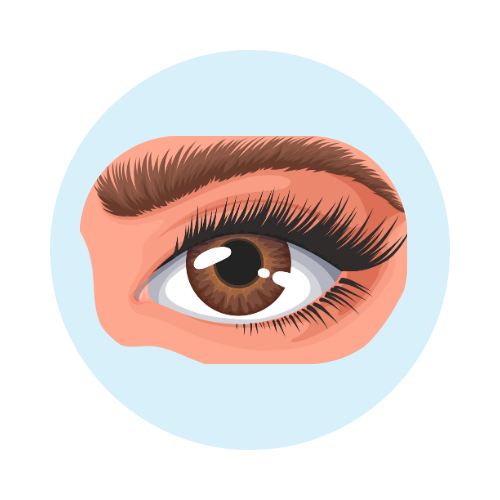 Hydrogen+ by Zenova Alkahydo | Hydrogen Water Generator for Energy & Wellness