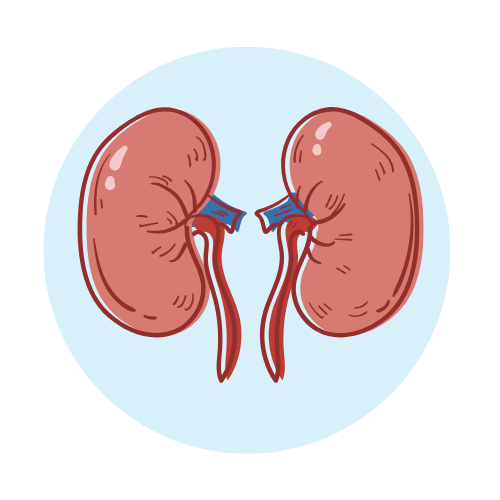 Hydrogen+ by Zenova Alkahydo | Hydrogen Water Generator for Energy & Wellness