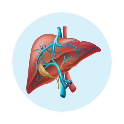 Hydrogen+ by Zenova Alkahydo | Hydrogen Water Generator for Energy & Wellness