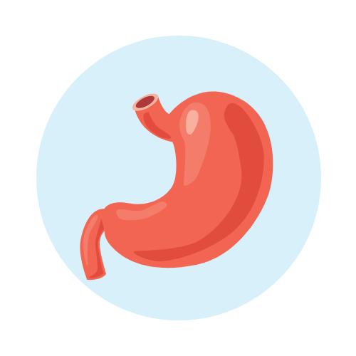 Hydrogen+ by Zenova Alkahydo | Hydrogen Water Generator for Energy & Wellness