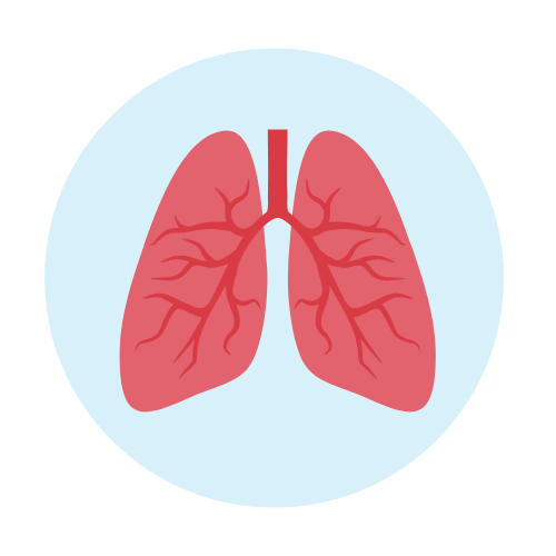 Hydrogen+ by Zenova Alkahydo | Hydrogen Water Generator for Energy & Wellness