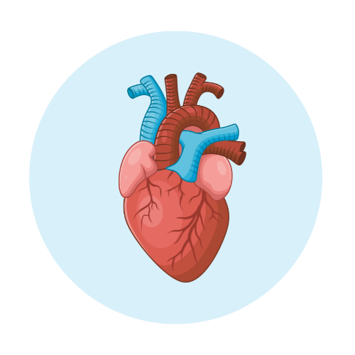 Hydrogen+ by Zenova Alkahydo | Hydrogen Water Generator for Energy & Wellness