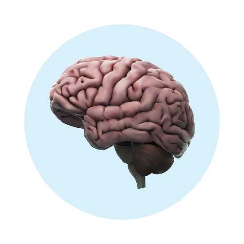 Hydrogen+ by Zenova Alkahydo | Hydrogen Water Generator for Energy & Wellness