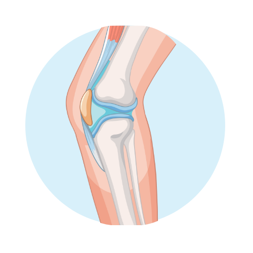 Hydrogen+ by Zenova Alkahydo | Hydrogen Water Generator for Energy & Wellness